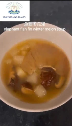 Elephant Fish Fin Winter Melon Soup