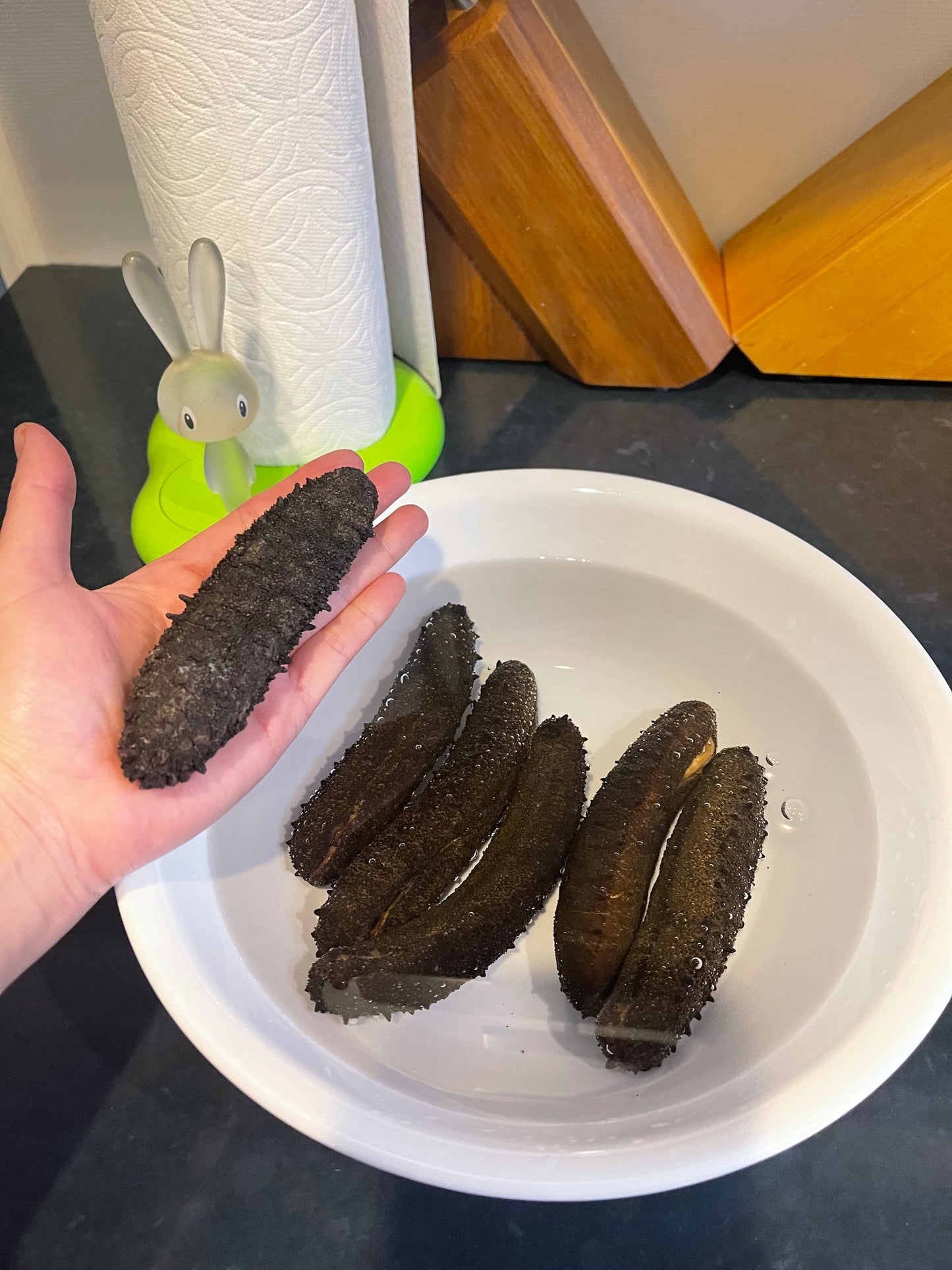 French Sea Cucumber 法國刺參 1 lb