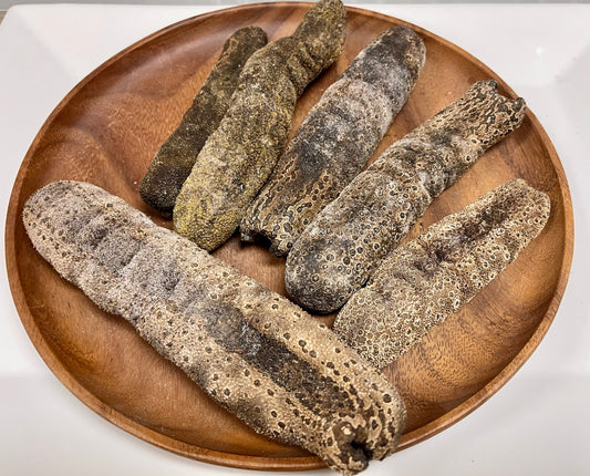 Dried Sea Cucumber Product Of Australia ( Pack of 2 lbs)