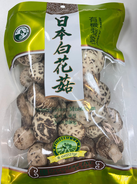 Organic Dried White Mushroom (0.5 lb)