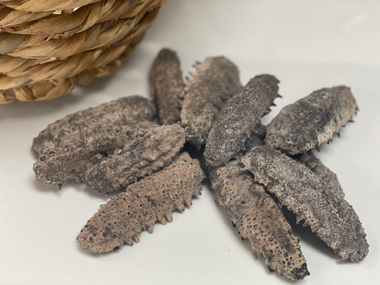 Sun Dried Sea Cucumber Product of Mexico (1 lb , 12-14 Units)